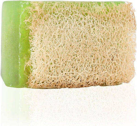 Kabak Lifli Sabun Aloe Vera