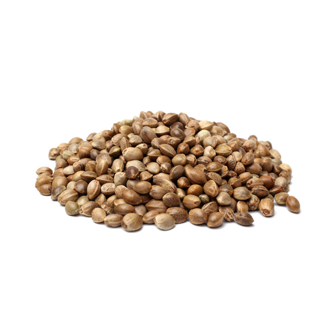 Kenevir Tohumu/Çedene